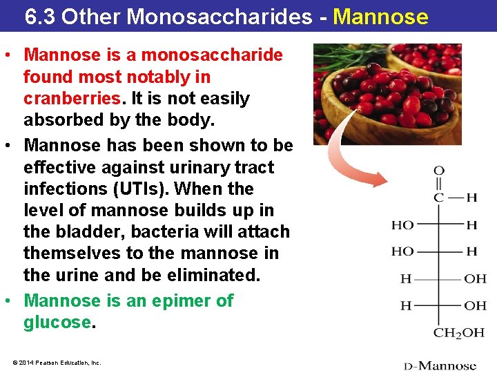 6. 3 Stereochemistry in Monosaccharides 6. 3 Other Monosaccharides - Mannose • Mannose is