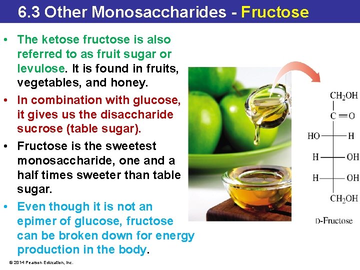 6. 3 Stereochemistry in Monosaccharides 6. 3 Other Monosaccharides - Fructose • The ketose