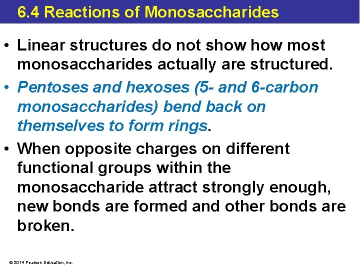 6. 4 Reactions of Monosaccharides • Linear structures do not show most monosaccharides actually