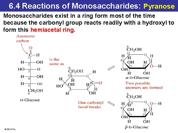 6. 4 Reactions of Monosaccharides: Pyranose Monosaccharides exist in a ring form most of