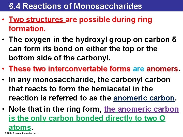 6. 4 Reactions of Monosaccharides • Two structures are possible during formation. • The