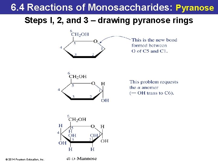 6. 4 Reactions of Monosaccharides: Pyranose Steps I, 2, and 3 – drawing pyranose