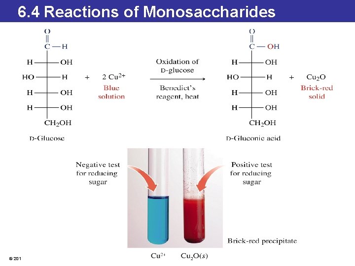 6. 4 Reactions of Monosaccharides © 2014 Pearson Education, Inc. 