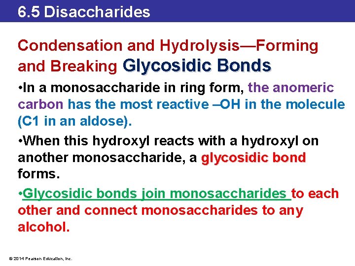 6. 5 Disaccharides Condensation and Hydrolysis—Forming and Breaking Glycosidic Bonds • In a monosaccharide