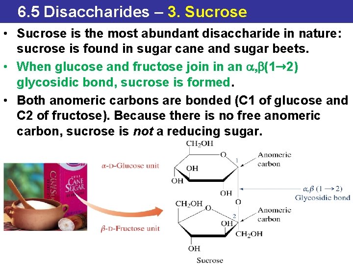6. 5 Disaccharides – 3. Sucrose • Sucrose is the most abundant disaccharide in
