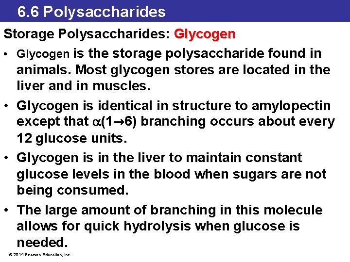 6. 6 Polysaccharides Storage Polysaccharides: Glycogen • Glycogen is the storage polysaccharide found in