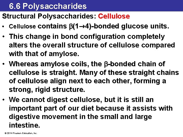 6. 6 Polysaccharides Structural Polysaccharides: Cellulose • Cellulose contains b(1→ 4)-bonded glucose units •