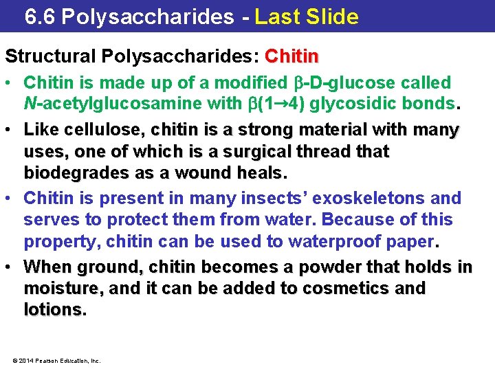 6. 6 Polysaccharides - Last Slide Structural Polysaccharides: Chitin • Chitin is made up