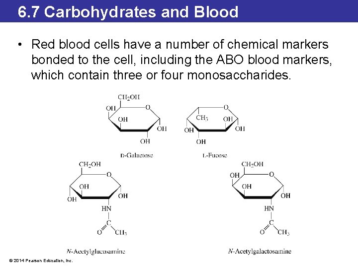 6. 7 Carbohydrates and Blood • Red blood cells have a number of chemical