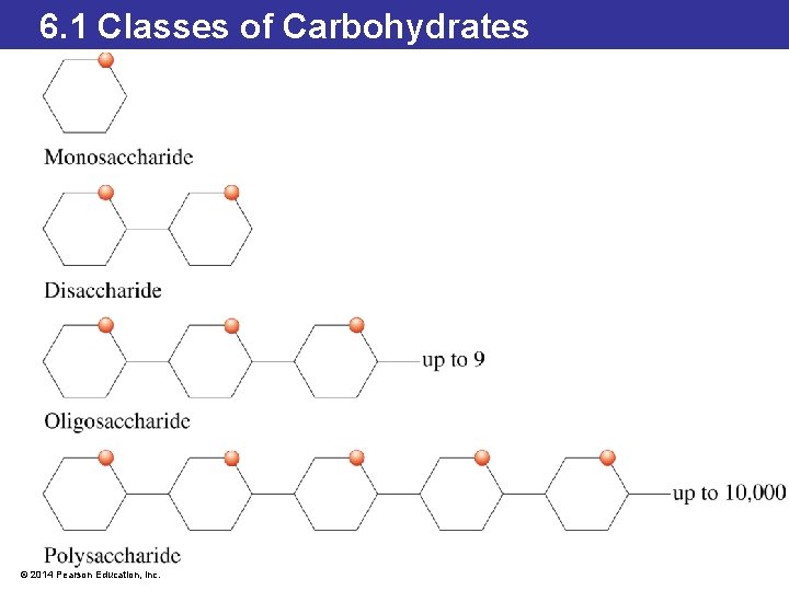 6. 1 Classes of Carbohydrates © 2014 Pearson Education, Inc. 