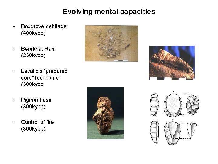 Evolving mental capacities • Boxgrove debitage (400 kybp) • Berekhat Ram (230 kybp) •