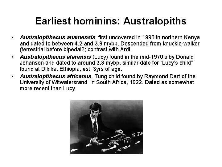 Earliest hominins: Australopiths • • • Australopithecus anamensis, first uncovered in 1995 in northern
