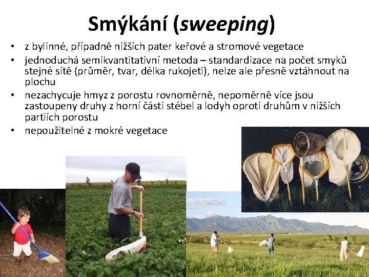 Smýkání (sweeping) • z bylinné, případně nižších pater keřové a stromové vegetace • jednoduchá