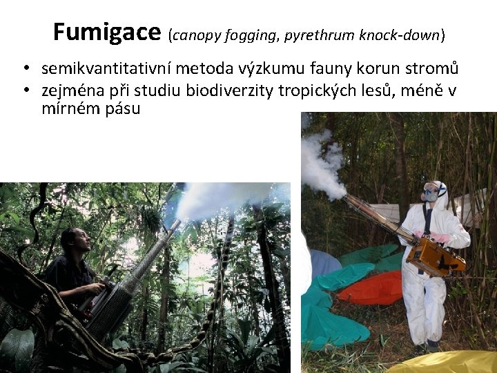 Fumigace (canopy fogging, pyrethrum knock-down) • semikvantitativní metoda výzkumu fauny korun stromů • zejména