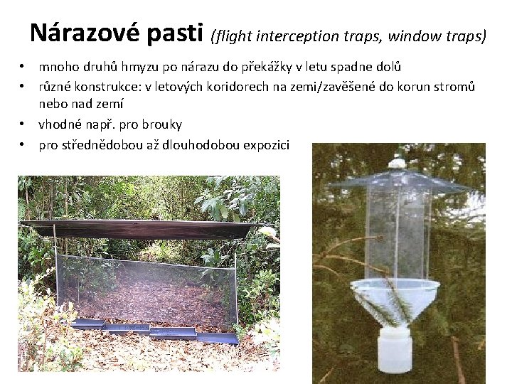 Nárazové pasti (flight interception traps, window traps) • mnoho druhů hmyzu po nárazu do