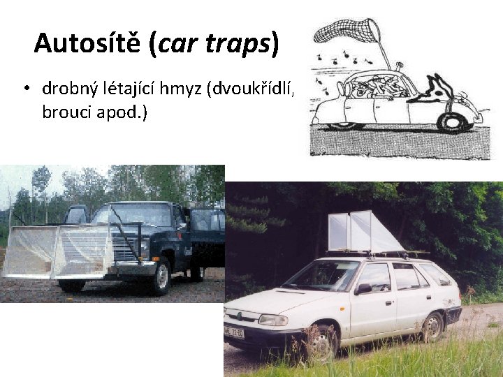 Autosítě (car traps) • drobný létající hmyz (dvoukřídlí, brouci apod. ) 