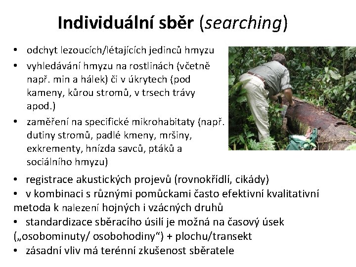 Individuální sběr (searching) • odchyt lezoucích/létajících jedinců hmyzu • vyhledávání hmyzu na rostlinách (včetně