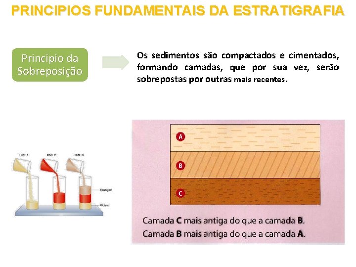 PRINCIPIOS FUNDAMENTAIS DA ESTRATIGRAFIA Princípio da Sobreposição Os sedimentos são compactados e cimentados, formando