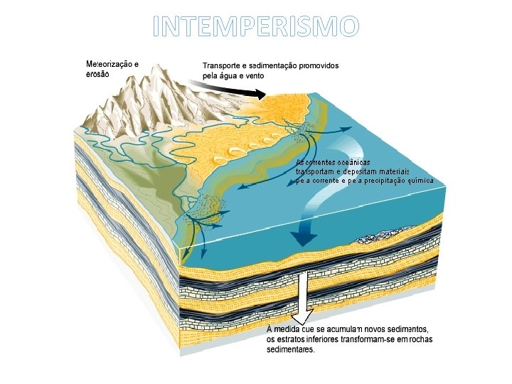 INTEMPERISMO INTEMPERISMO