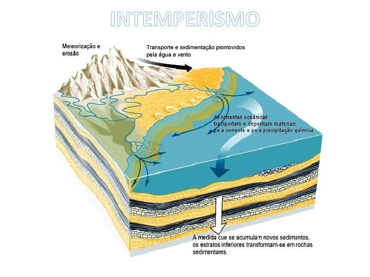 INTEMPERISMO 