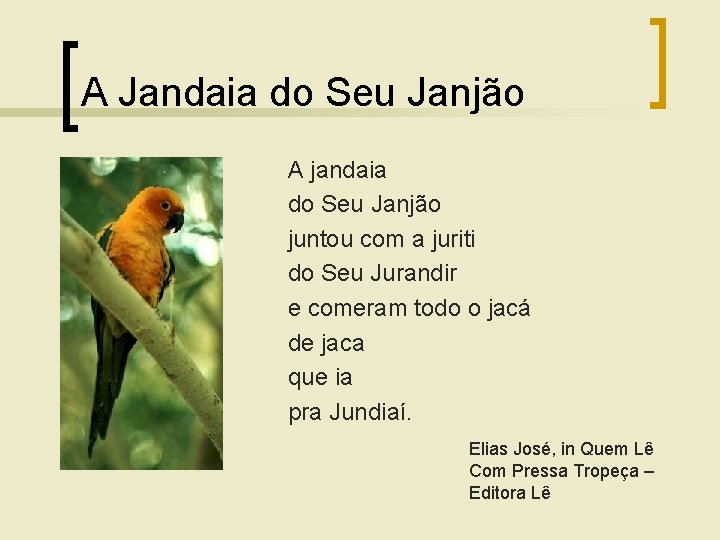 A Jandaia do Seu Janjão A jandaia do Seu Janjão juntou com a juriti