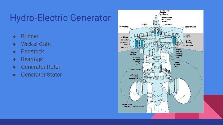 Hydro-Electric Generator ● ● ● Runner Wicket Gate Penstock Bearings Generator Rotor Generator Stator