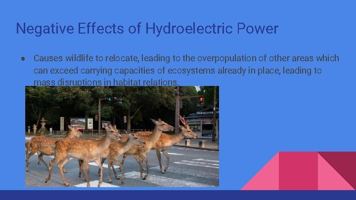 Negative Effects of Hydroelectric Power ● Causes wildlife to relocate, leading to the overpopulation