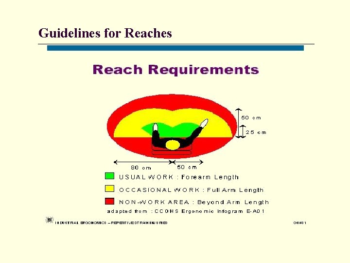 Guidelines for Reaches 