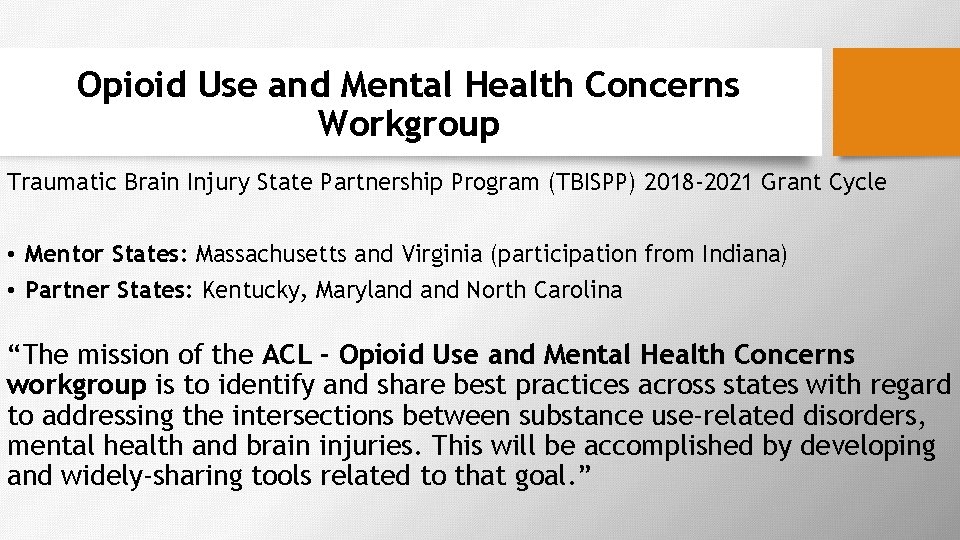 Opioid Use and Mental Health Concerns Workgroup Traumatic Brain Injury State Partnership Program (TBISPP)
