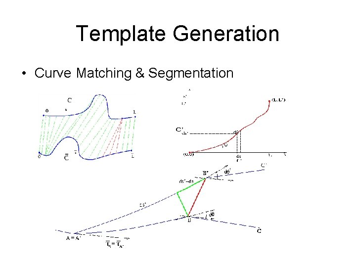 Template Generation • Curve Matching & Segmentation 