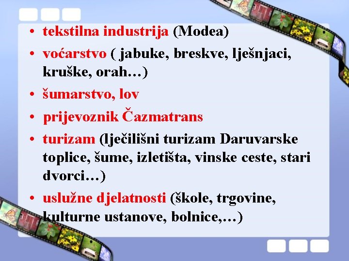  • tekstilna industrija (Modea) • voćarstvo ( jabuke, breskve, lješnjaci, kruške, orah…) •