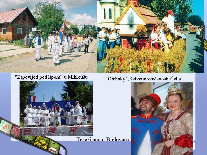 "Zapovijed pod lipom“ u Mikloušu "Obžinky", žetvene svečanosti Čeha Terezijana u Bjelovaru 