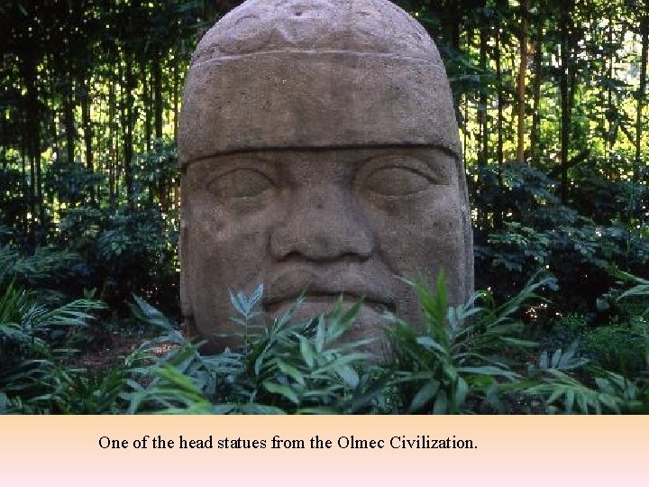 One of the head statues from the Olmec Civilization. 