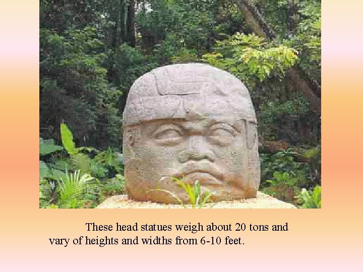 These head statues weigh about 20 tons and vary of heights and widths from