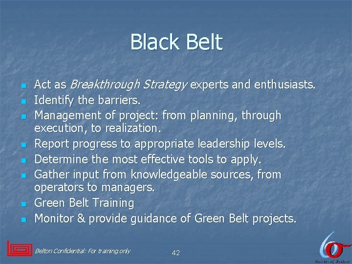 Black Belt n n n n Act as Breakthrough Strategy experts and enthusiasts. Identify