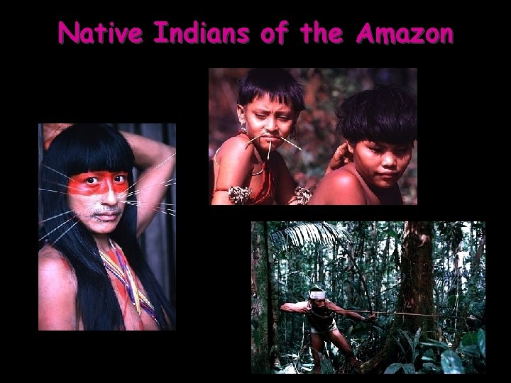 Native Indians of the Amazon 
