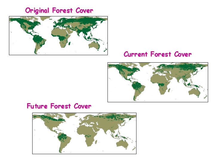 Original Forest Cover Current Forest Cover Future Forest Cover 