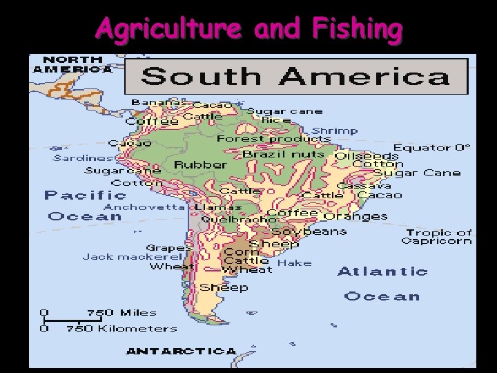 Agriculture and Fishing 