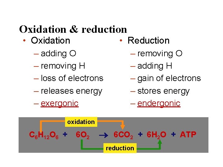Oxidation & reduction • Oxidation • Reduction – adding O – removing H –