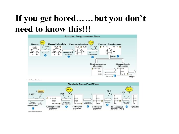 If you get bored……but you don’t need to know this!!! 