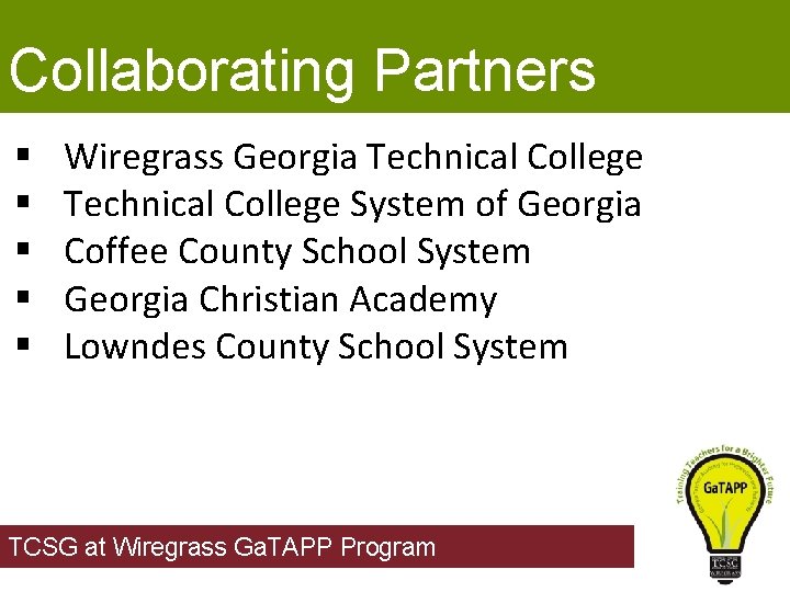 Collaborating Partners § § § Wiregrass Georgia Technical College System of Georgia Coffee County