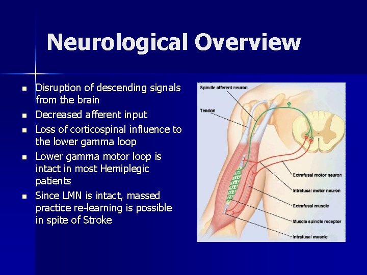 Neurological Overview n n n Disruption of descending signals from the brain Decreased afferent Neurological Overview n n n Disruption of descending signals from the brain Decreased afferent