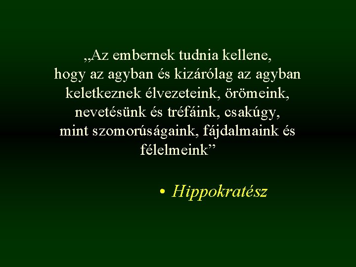„Az embernek tudnia kellene, hogy az agyban és kizárólag az agyban keletkeznek élvezeteink, örömeink, „Az embernek tudnia kellene, hogy az agyban és kizárólag az agyban keletkeznek élvezeteink, örömeink,