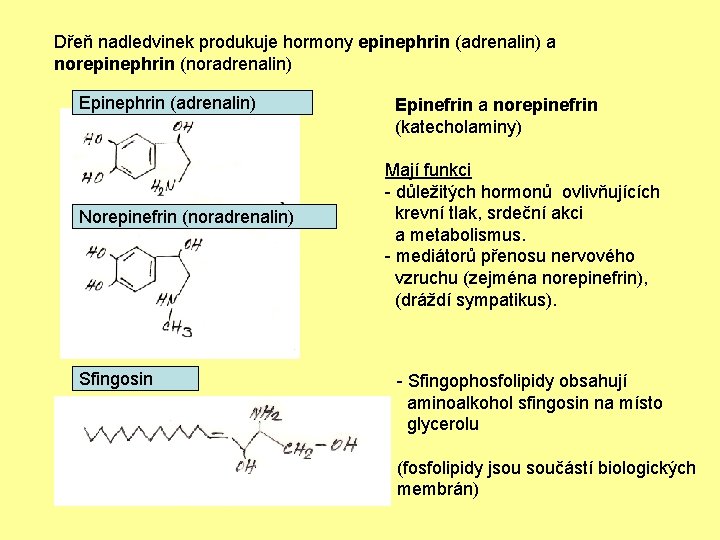 Dřeň nadledvinek produkuje hormony epinephrin (adrenalin) a norepinephrin (noradrenalin) Epinephrin (adrenalin) Norepinefrin (noradrenalin) Sfingosin