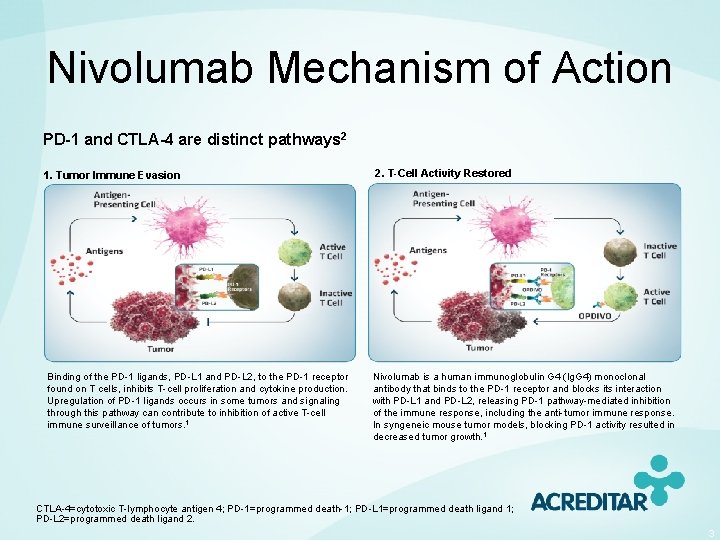 Nivolumab Mechanism of Action PD-1 and CTLA-4 are distinct pathways 2 1. Tumor Immune