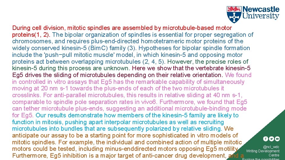 During cell division, mitotic spindles are assembled by microtubule-based motor proteins(1, 2). The bipolar