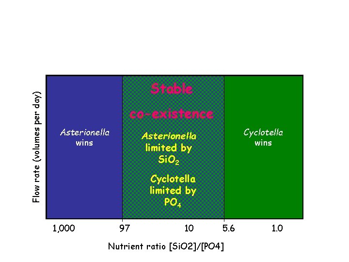 Flow rate (volumes per day) Stable co-existence Asterionella wins Cyclotella wins Asterionella limited by