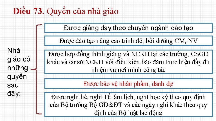 Điều 73. Quyền của nhà giáo Được giảng dạy theo chuyên ngành đào tạo