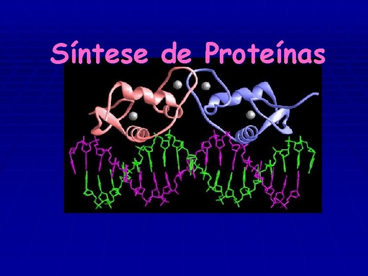 Síntese de Proteínas 