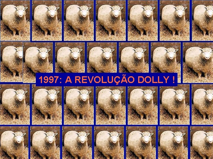 1997: A REVOLUÇÃO DOLLY ! 